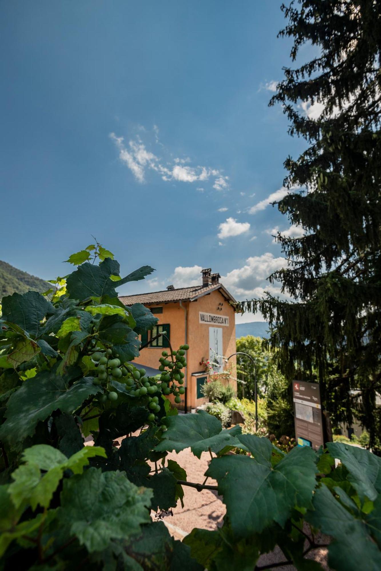 Wine & Art Relais Vallombrosa Castelrotto Bagian luar foto